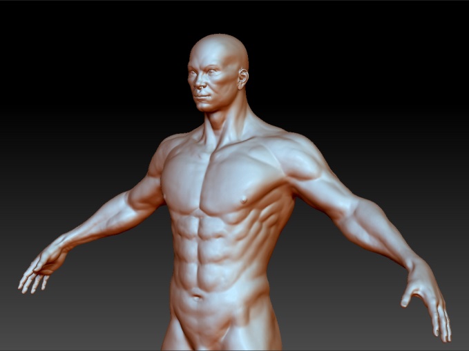 ����������� ��������: ����.