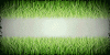 grass.gif