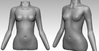 Female_torso_v00_01.jpg