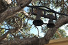DSC_0317_sm.jpg