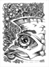 569009.png